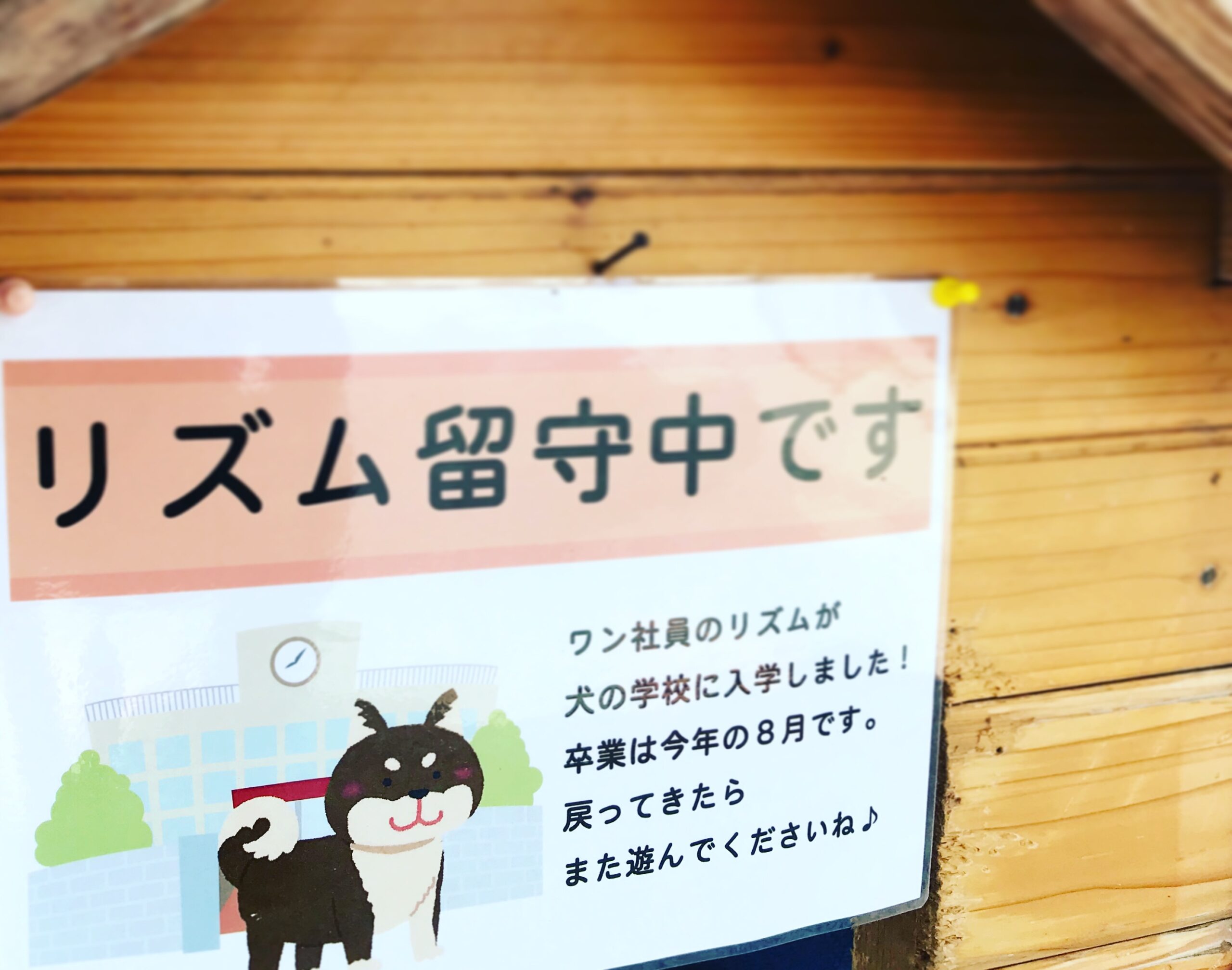 リズム、ただいま研修のため、留守にしております。